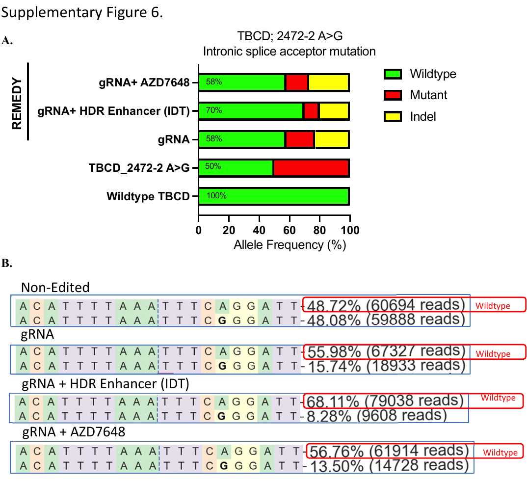 REMEDY: REpair of heterozygous Mutations independent of Exogenous Donor template with high efficiency using allele specific CRISPR targeting and HDR enhancers