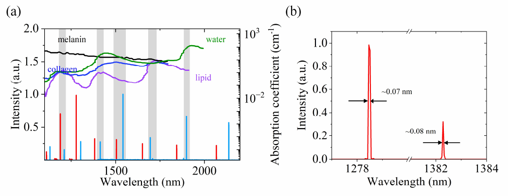 Multi-spectral optoacoustic microscopy driven by gas-filled hollow-core fiber laser pulses