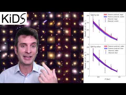 The dark matter halo masses of elliptical galaxies as a function of observationally robust quantities