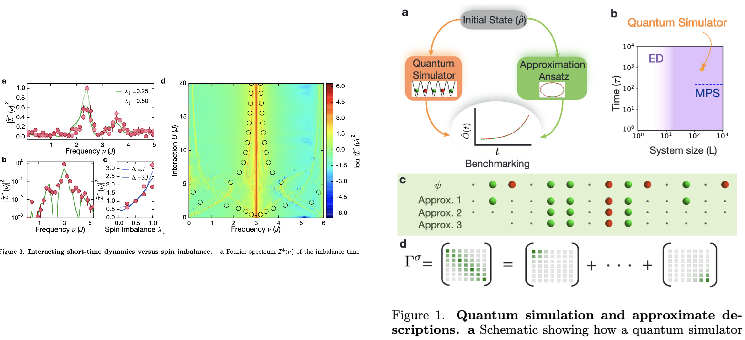 Benchmarking a novel efficient numerical method for localized 1D
  Fermi-Hubbard systems on a quantum simulator