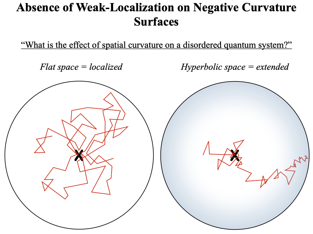 Absence of Weak Localization on Negative Curvature Surfaces