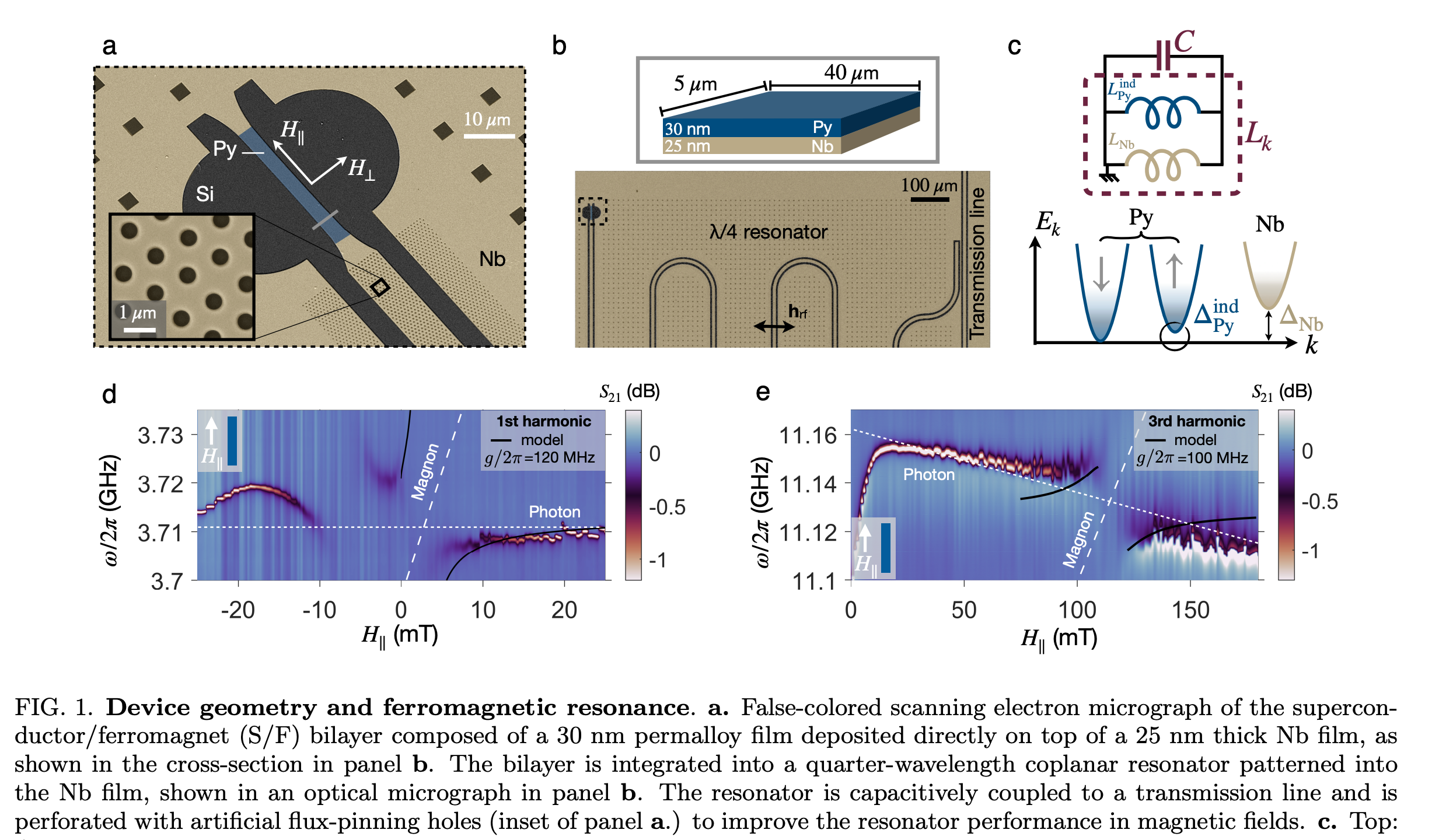 Circuit QED detection of induced two-fold anisotropic pairing in a  hybrid superconductor-ferromagnet bilayer