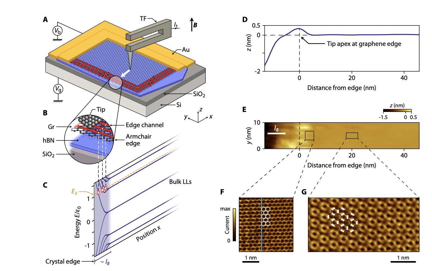 Absence of edge reconstruction for quantum Hall edge channels in
  graphene devices