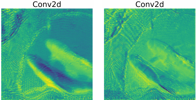 Squeeze aggregated excitation network