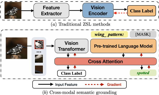 DUET: Cross-modal Semantic Grounding for Contrastive Zero-shot Learning