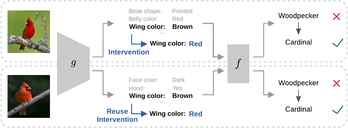 Learning to Intervene on Concept Bottlenecks