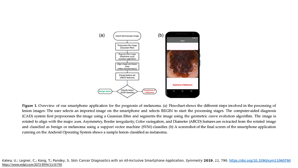 Skin Cancer Diagnostics with an All-Inclusive Smartphone Application
