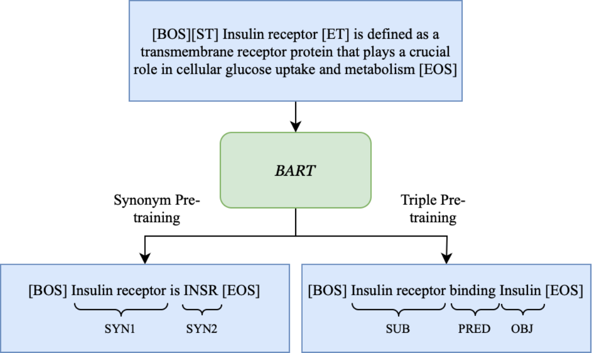 Biomedical Entity Linking with Triple-aware Pre-Training