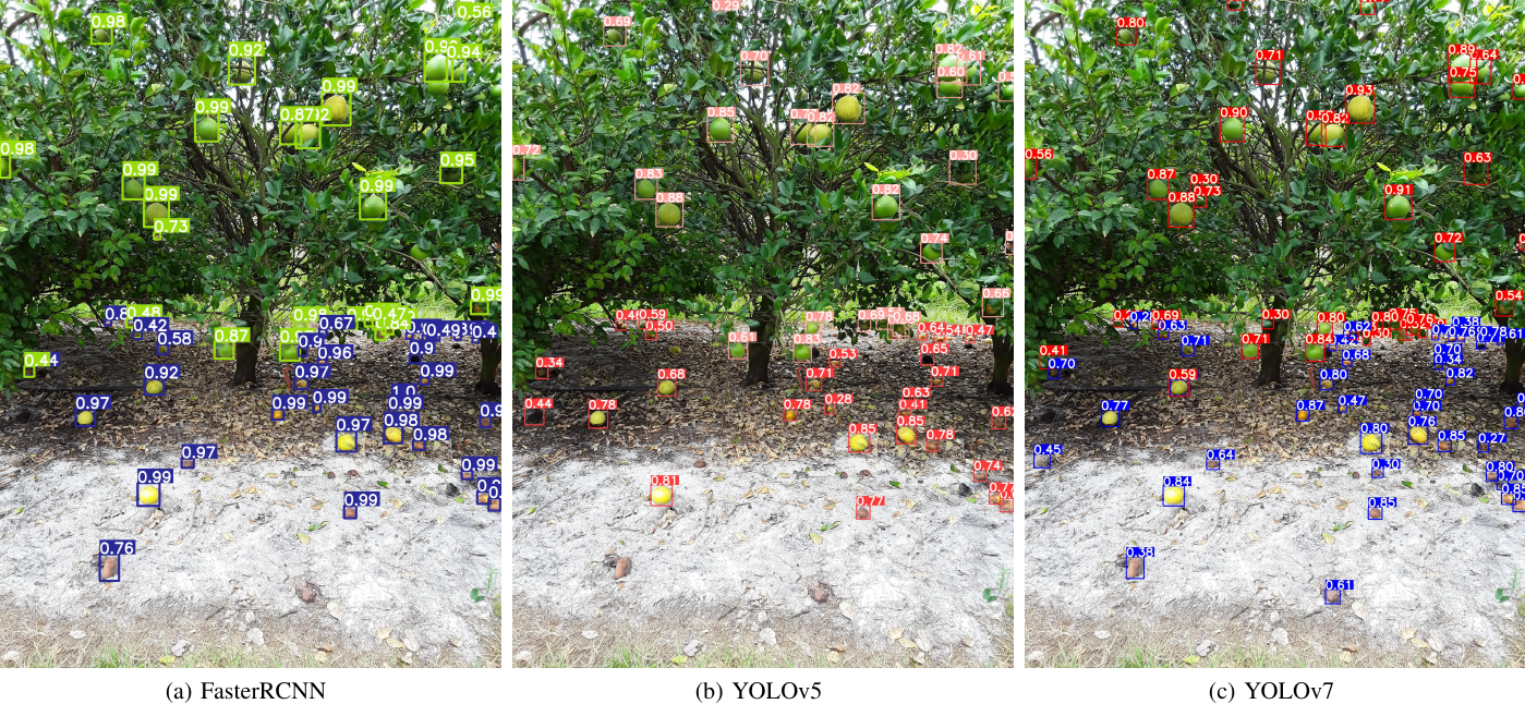 CitDet: A Benchmark Dataset for Citrus Fruit Detection