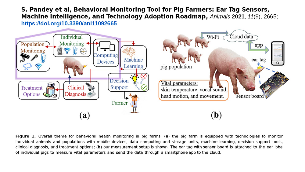 Behavioral Monitoring Tool for Pig Farmers: Ear Tag Sensors, Machine Intelligence, and Technology Adoption Roadmap