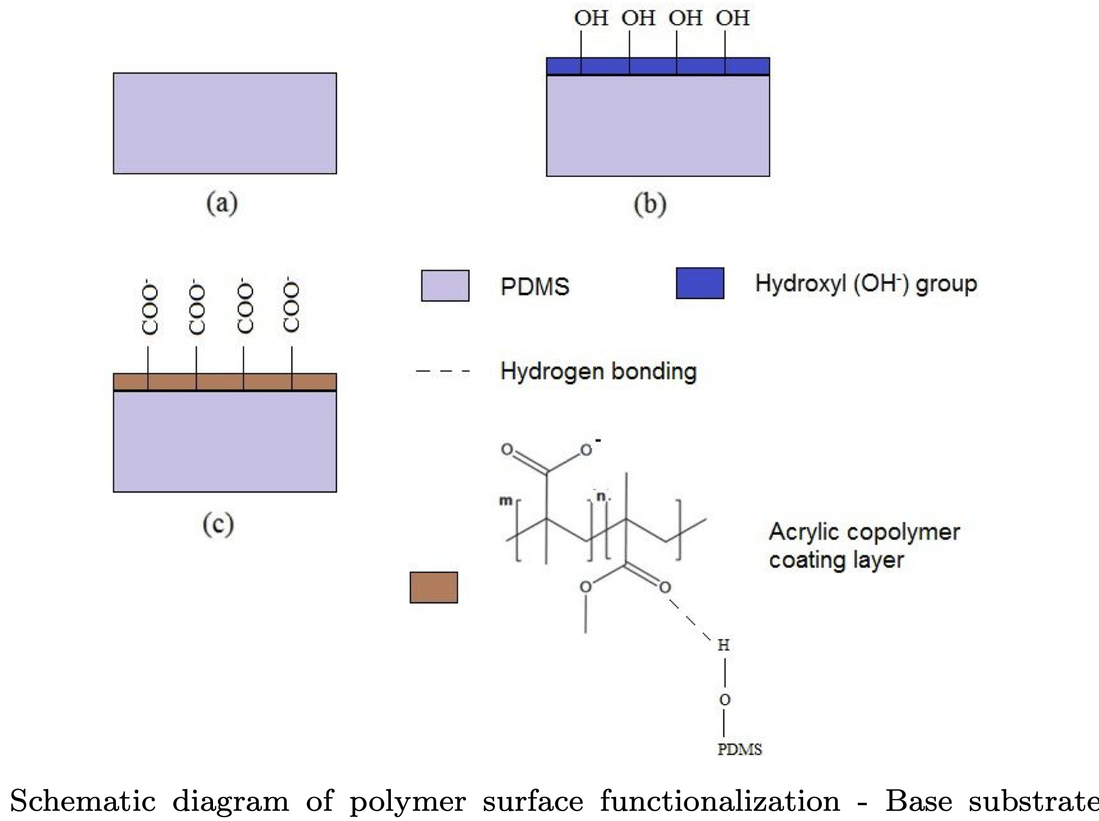 Amphiphilic diblock copolymers as functional surfaces for protein
  chromatography