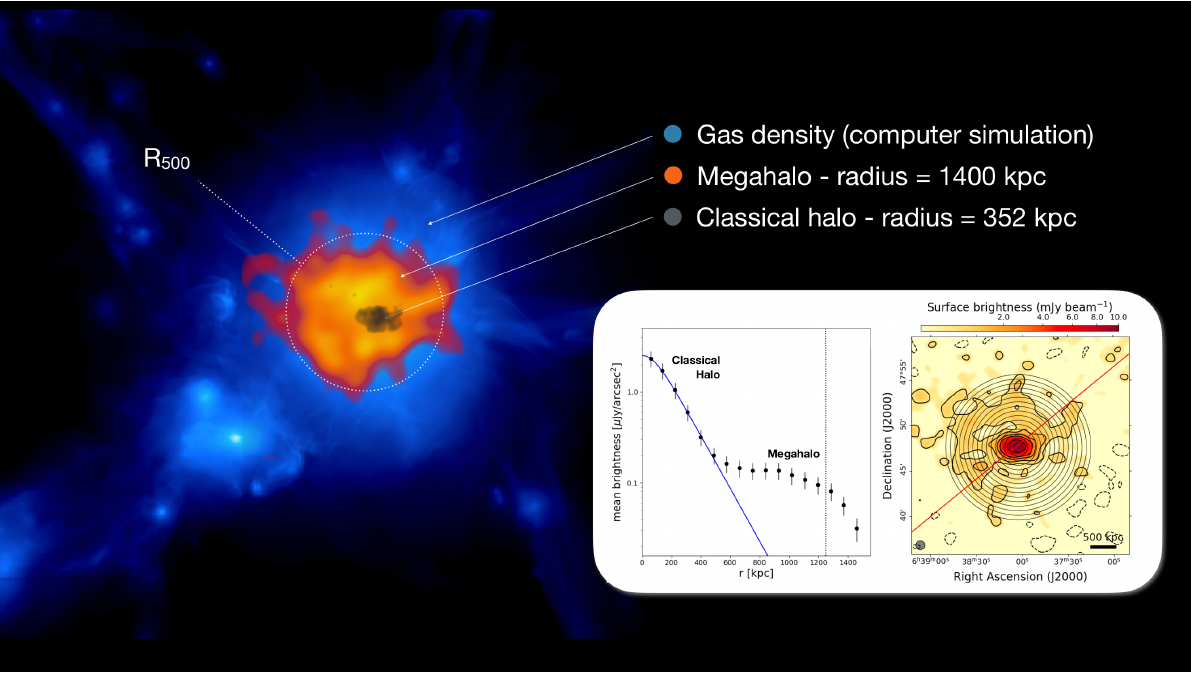 The Large-Scale Structure of the Universe through the SKA lenses