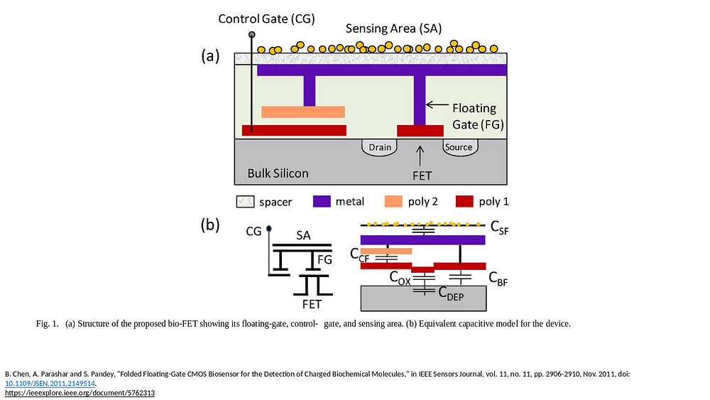 Folded floating-gate CMOS biosensor for the detection of charged biochemical molecules