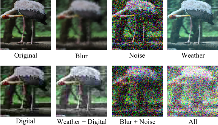 Dual Adversarial Alignment for Realistic Support-Query Shift Few-shot
  Learning