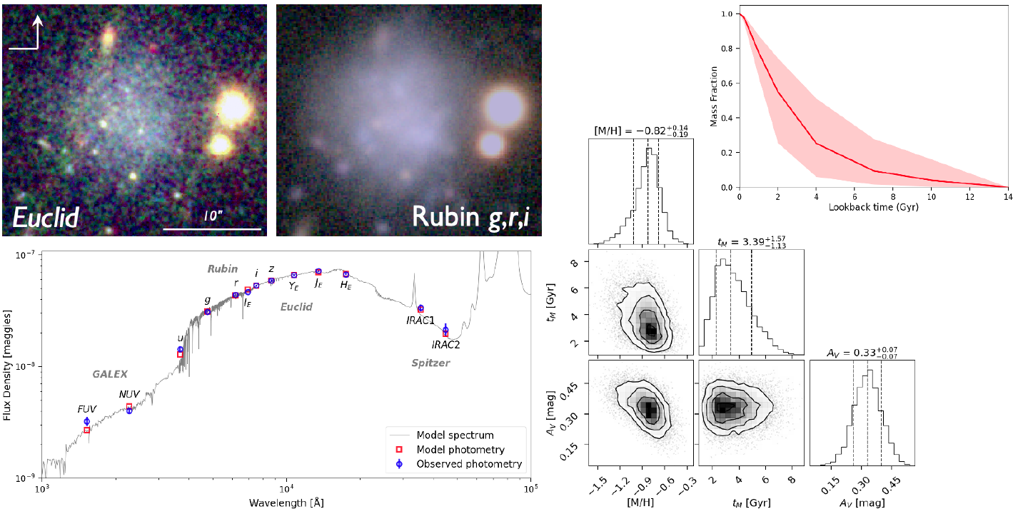 Morphology and stellar populations of a candidate ultra-diffuse galaxy
  in early Euclid and Rubin imaging