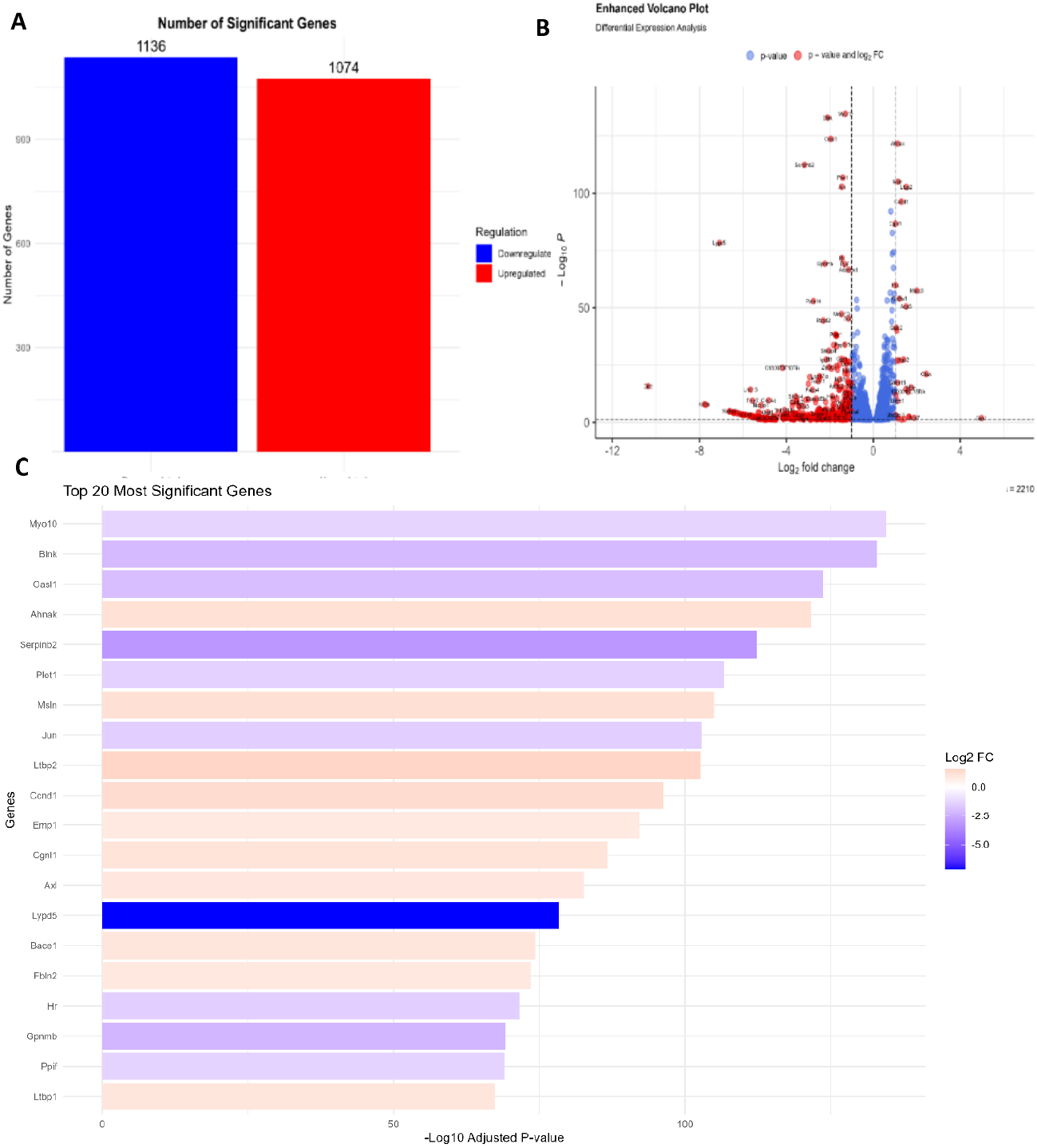 Tumor-Intrinsic IL-17 Signaling Correlates with Multimodal Resistance Phenotypes Following Oncolytic Adenovirus Challenge