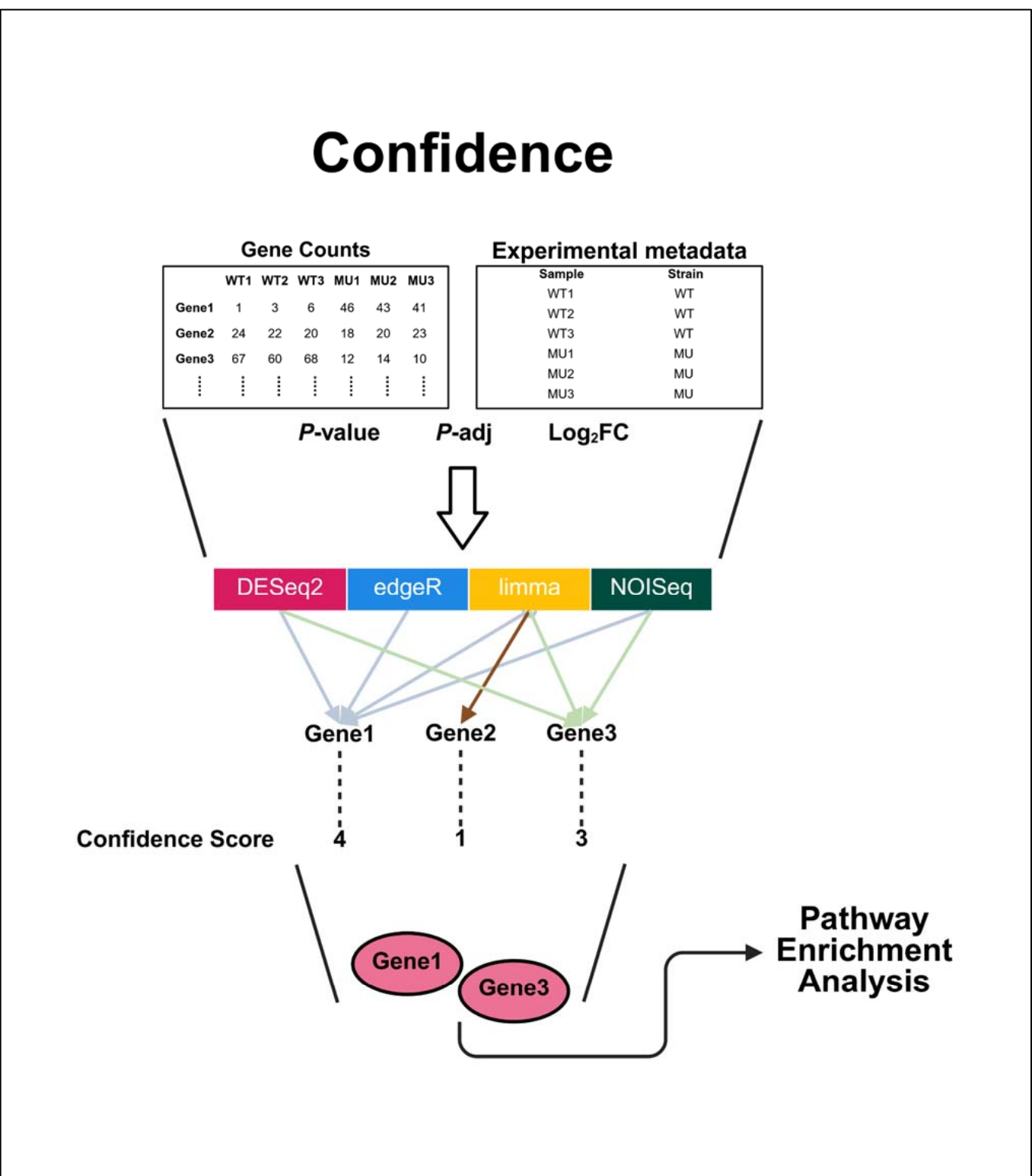 Confidence: A Web App for Cross-Platform Differential Gene Expression Analysis, Gene Scoring, and Enrichment Analysis