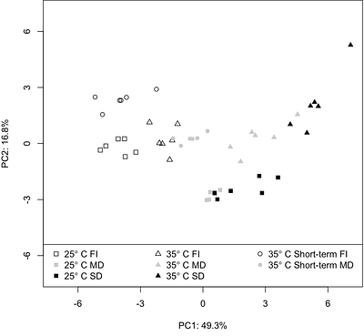 Exposure time to moderately high temperature affects photosynthetic response to water deficit in Eucalyptus globulus Labill.