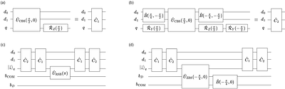 Doubling Qubits in a Trapped-Ion System via Vibrational Dual-Rail
  Encoding