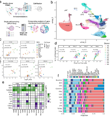 Intra- and intercellular immune responses across diverse in vitro stimuli and inflammatory disease