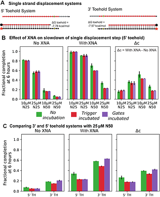 Systematic non-natural base-pairs for strand displacement circuits in complex environments