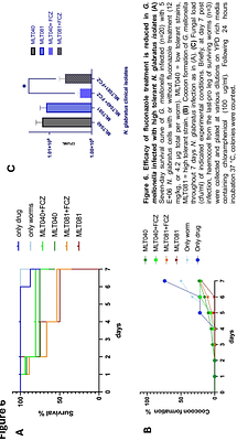 Combined genetic and environmental factors shape the landscape of anti-fungal tolerance in Nakaseomyces glabratus