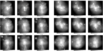 The Environmental Switch in Black Hole Feeding: Bar-Driven vs. Merger-Driven Growth in IllustrisTNG50