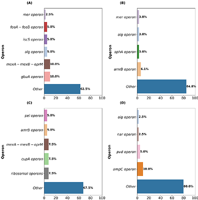 Minimal Gene Signatures Enable High-Accuracy Prediction of Antibiotic Resistance in Pseudomonas aeruginosa
