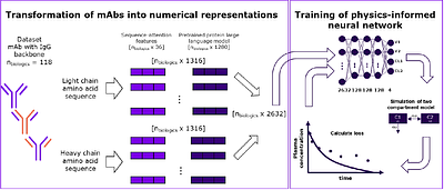 Towards pharmacokinetic profile predictions for monoclonal antibodies using sequence based machine learning derived parameters and compartmental modeling