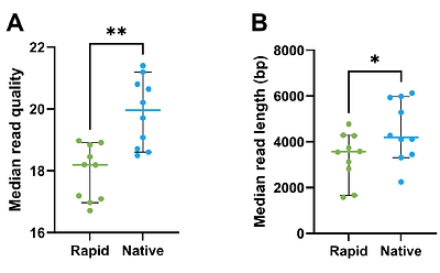 Long read and short read whole genome sequencing are equivalent for genomic characterisation of bacteriophage: considerations for high throughput analysis