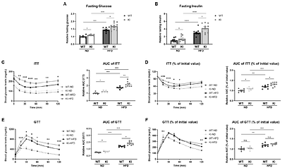 The SAMM50 rs3761472 causes mitochondrial dysfunction and metabolic dysfunction-associated steatotic liver disease