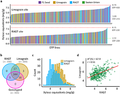 Genetic architecture of soluble arabinoxylan fibre in elite genotypes of bread wheat revealed by genome-wide association analysis