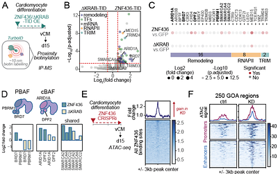 Tissue-specific restriction of TE-derived regulatory elements safeguards cell-type identity