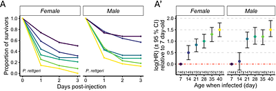 Different ways to die: harnessing variation in Drosophila reveals loss of tolerance and resistance over age and sex-specific association between infection susceptibility and lifespan