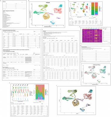 SWANS: A highly configurable analysis pipeline for single-cell and single-nuclei RNA-sequencing data