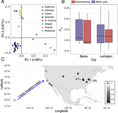 Phenotypic and Genomic Evidence of Adaptive Tracking in Thermal Tolerance of Wild Populations of an Invasive Drosophila.