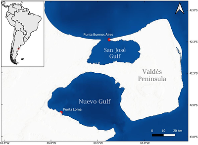 Air temperature in fringe habitats: performance of climate reanalysis on Atlantic Patagonian rocky shores