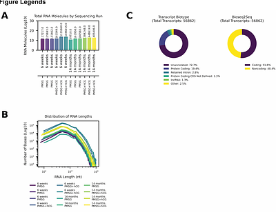 Dysregulation of alternative splicing patterns in the ovaries of reproductively aged mice