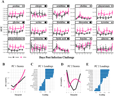 PFOA induced metabolic and immune perturbations in a SARS-2 infection model