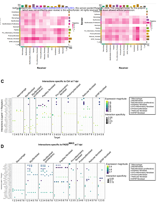 Modes of programmed macrophage cell death govern outcome of cutaneous wound healing