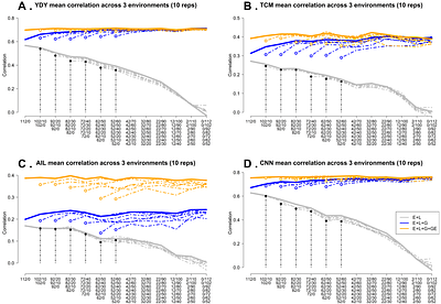 Optimizing resource allocation in Miscanthus breeding with sparse testing designs for genomic prediction