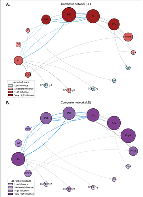 Dissecting the Network Architecture of a Plant Circadian Clock Model: Identifying Key Regulatory Mechanisms and Essential Interactions