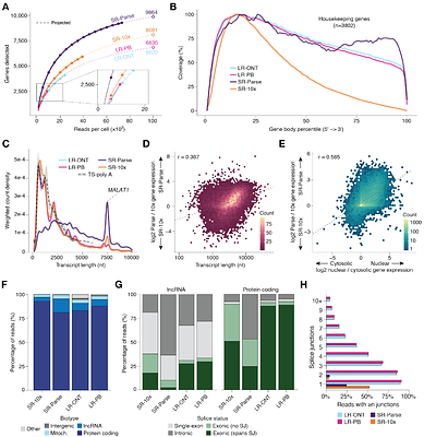 Isoform-level resolution in single-cell CRISPR screens reveals hidden functional consequences of gene perturbation