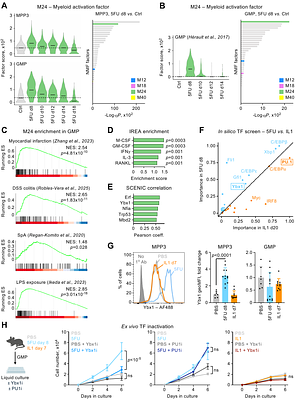 Quantitative molecular cartography of emergency myelopoiesis reveals conserved modules of hematopoietic activation