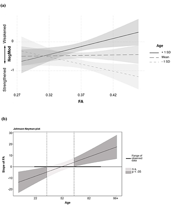 Brain Structure-Function Association as a Compensatory Factor in Cognitive Aging