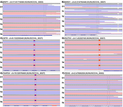 Germline VCF Annotator: a lightweight pipeline for processing germline VCFs with robust variant extraction and read evidence quality control