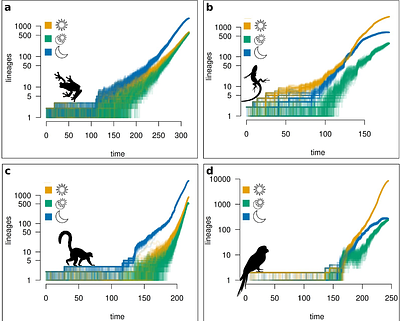 Evolutionary dynamics of temporal niche among tetrapods