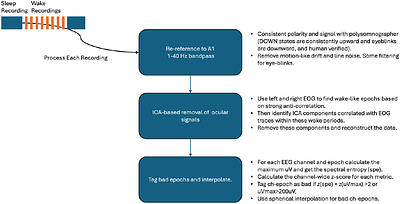 Resolving the Deep Sleep Dual Indeterminacy Problem: Context-Dependent Slow-Wave Activity Modeling Predicts Neurobehavioral Fatigue Where Clinical Sleep Modeling Fails
