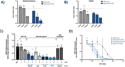 An aptamer targeting TfR1 enhances ASO delivery to muscle tissue