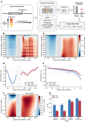 PoolParty: streamlined design of DNA sequence libraries in Python